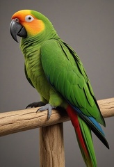 2025-07-28T13.26.43 1