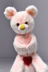 5V0GKWBNQPRC3TSRK9H91HW900