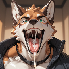 14956d15a3ad2b7ec13a3c4e70f1ddcd